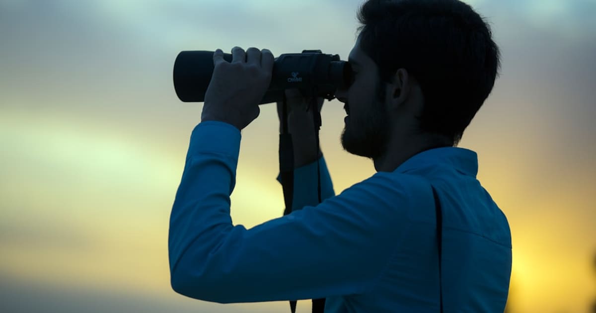 Is Birdwatching an Expensive Hobby (2026): Honest Answer, $60 to $304