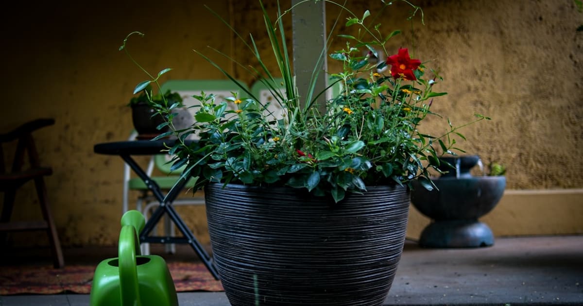 What Do I Need to Start Container Gardening (2026): One Kit, Five Parts, Grow Bags Included, About $53